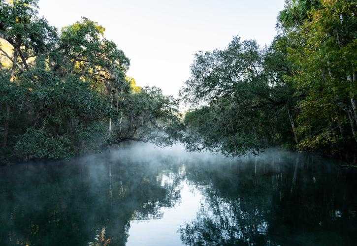 Blue Spring State Park