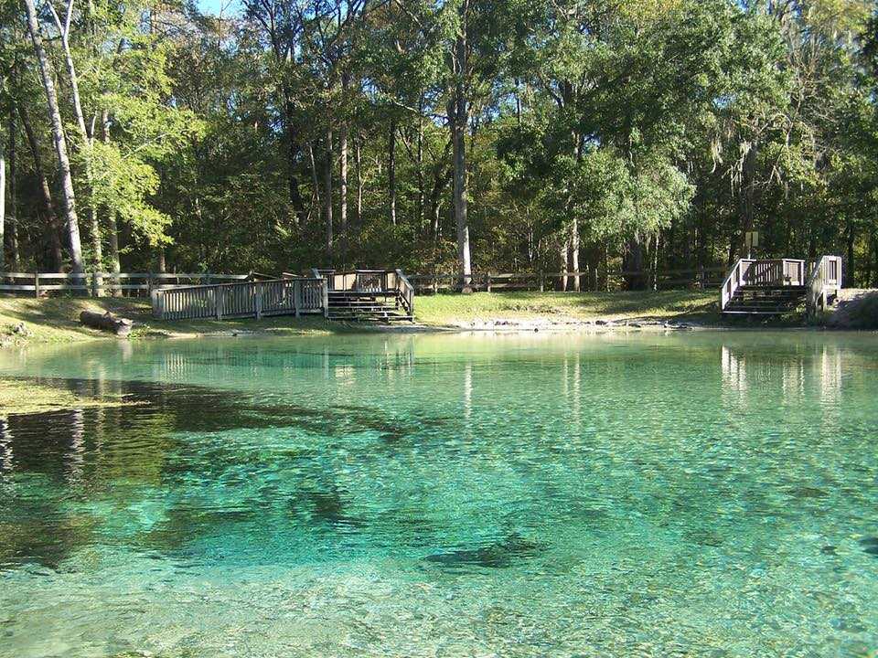Splash Into the Springs Near Gainesville, FL »