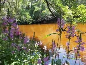 little-manatee-river-state-park