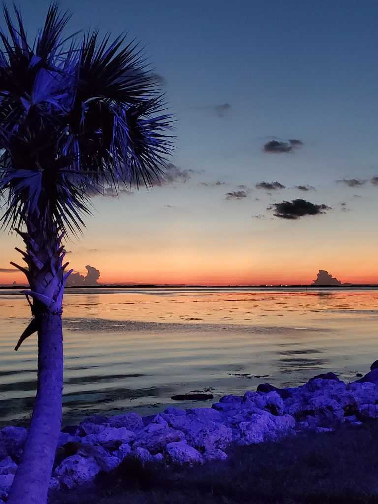 skyway-fishing-pier-state-park