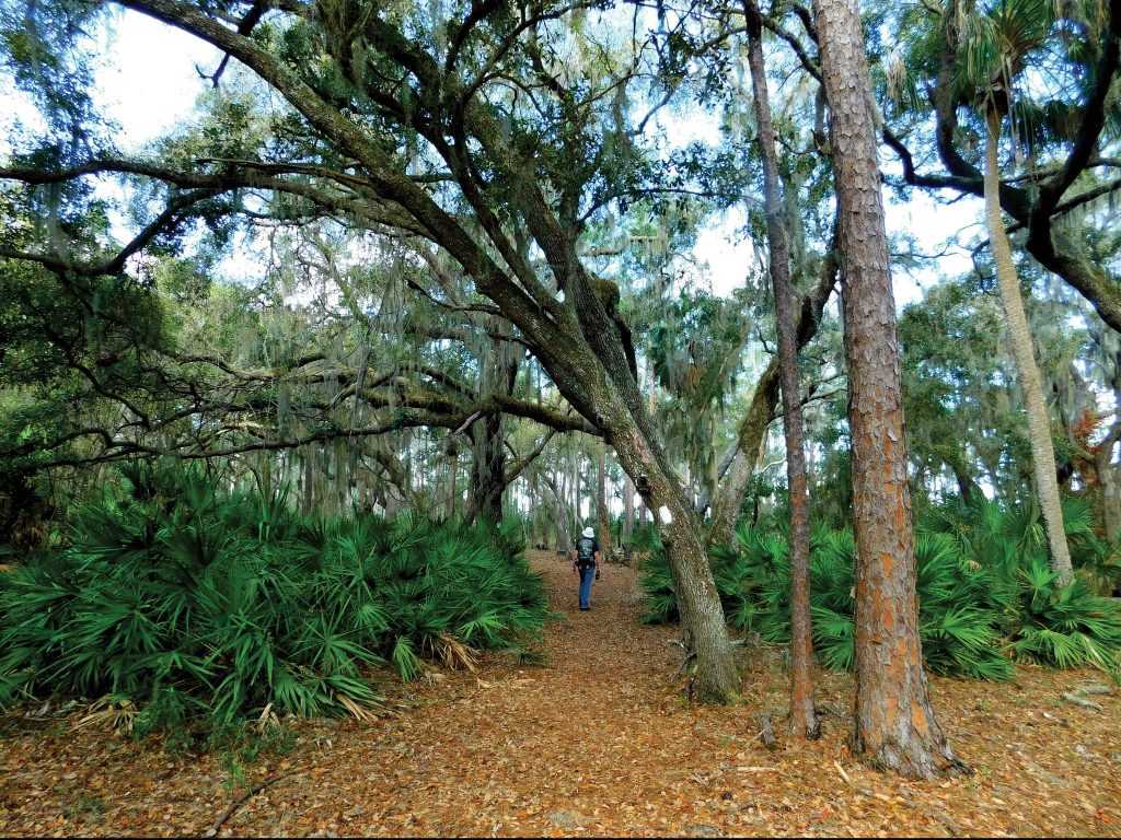 lake-kissimmee-state-park