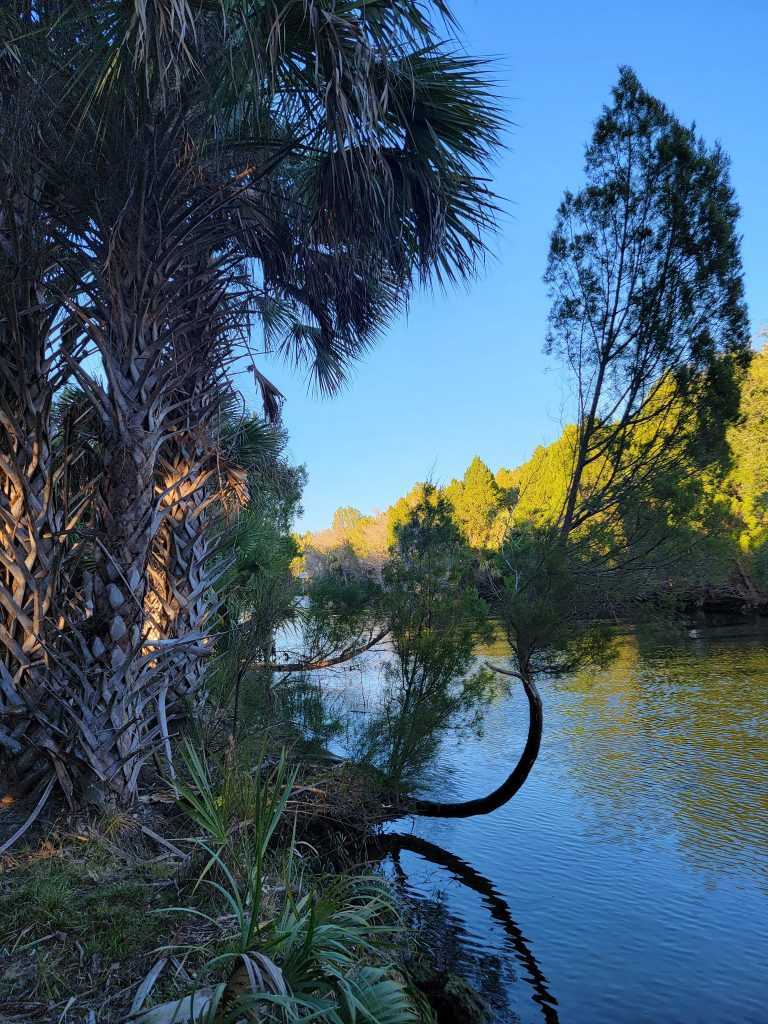 crystal-river-archaeological-state-park