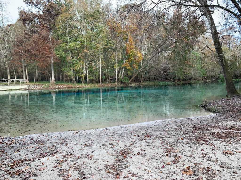 Gilchrist Blue Springs State Park