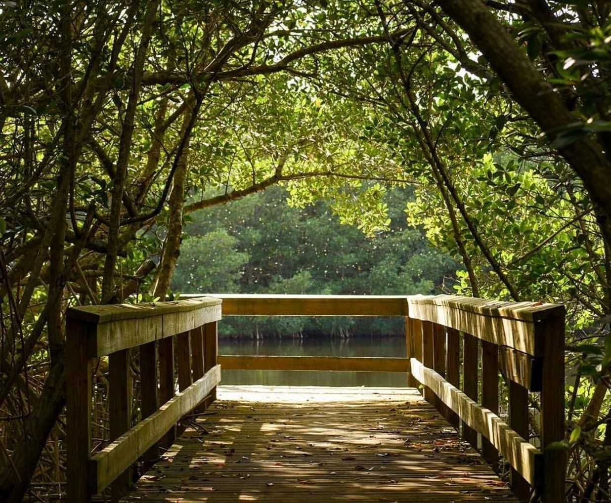 Charlotte Harbor Preserve State Park United States