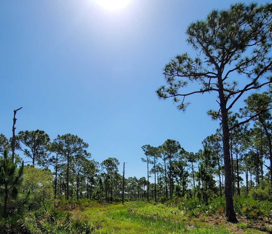 Escape To Paradise: Charlotte Harbor Preserve State Park, Your Florida ...