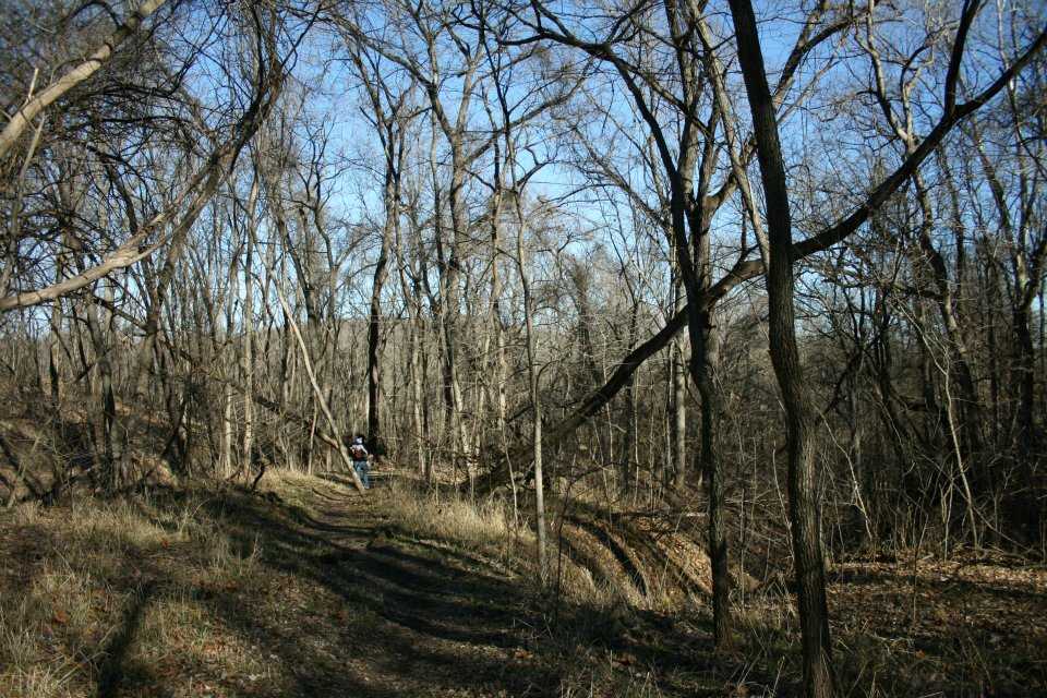 Weston Bend State Park trees