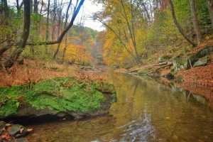 Tomlinson Run State Park - Parks Guidance