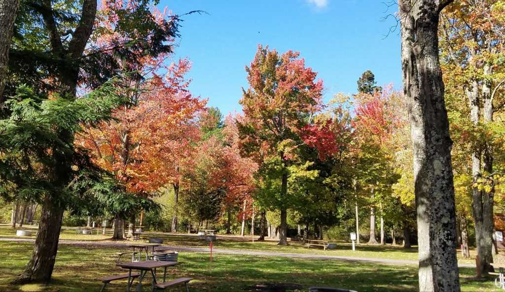 Baraga State Park