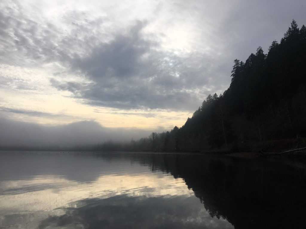 Dark sky view Potlatch State Park