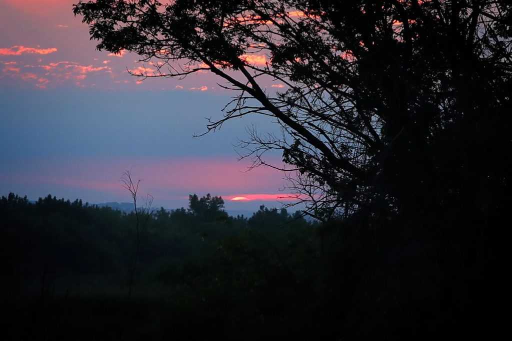 Evening view Lac qui Parle State Park
