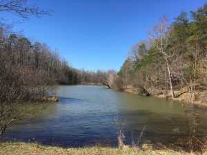 Haw River State Park