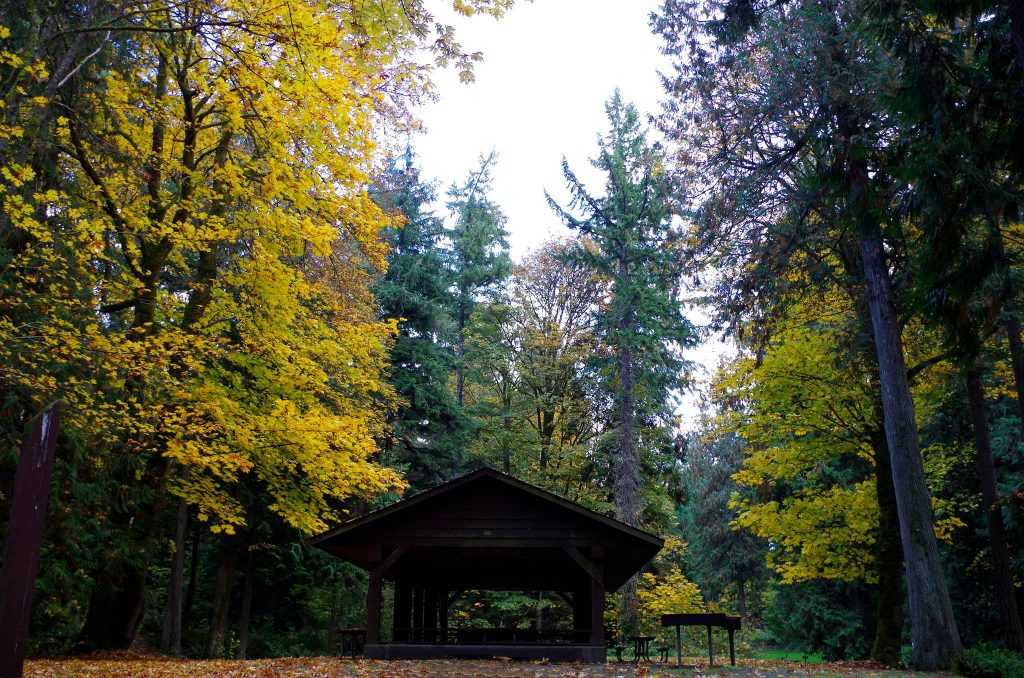 Hut view Illahee State Park