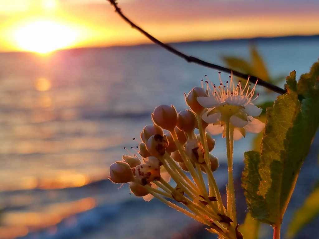 Lake Charlevoix Young State Park