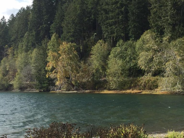 Potlatch State Park Parks Guidance