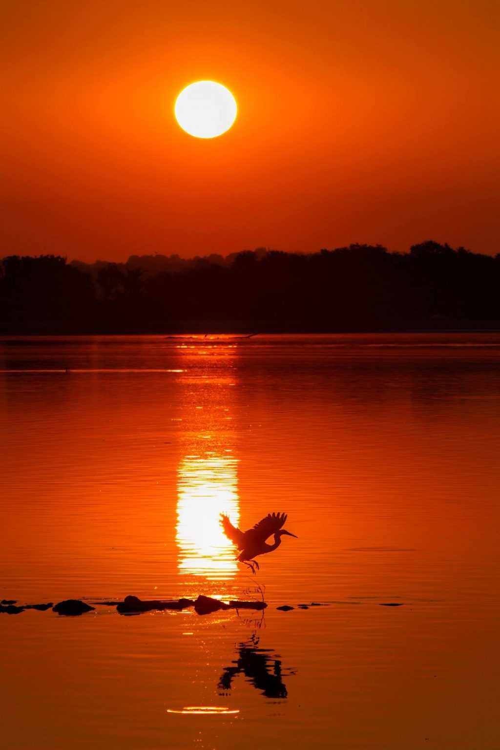 Horseshoe Lake State Park Parks Guidance