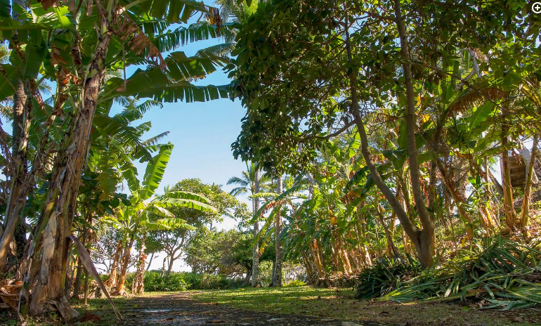 Escape to Paradise: Heʻeia State Park, Oahu's Hidden Gem