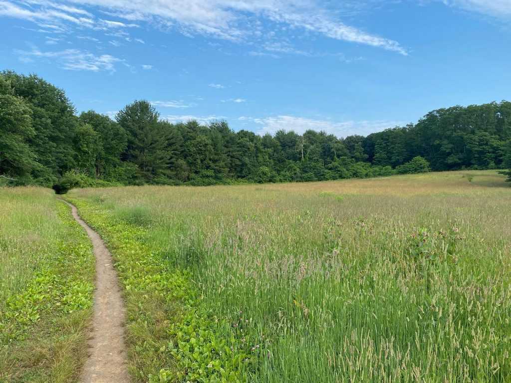 from Callahan State Park