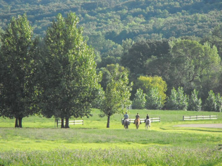 Fort Ransom State Park Parks Guidance