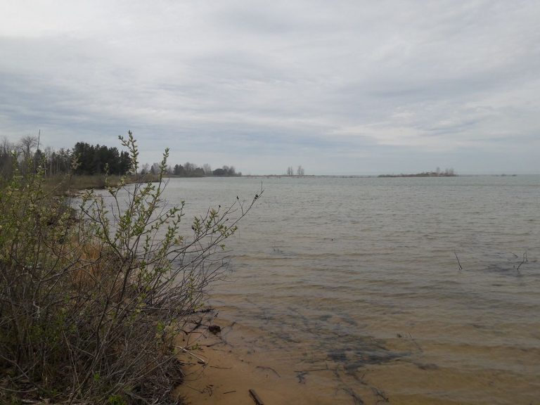 Tawas State Park Parks Guidance