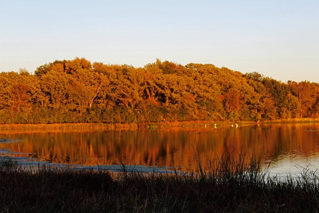 lake view Myre Big Island State Park