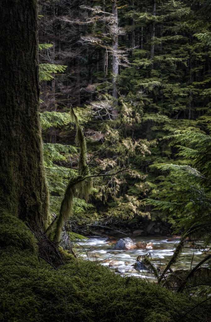 lake view Olallie State Park