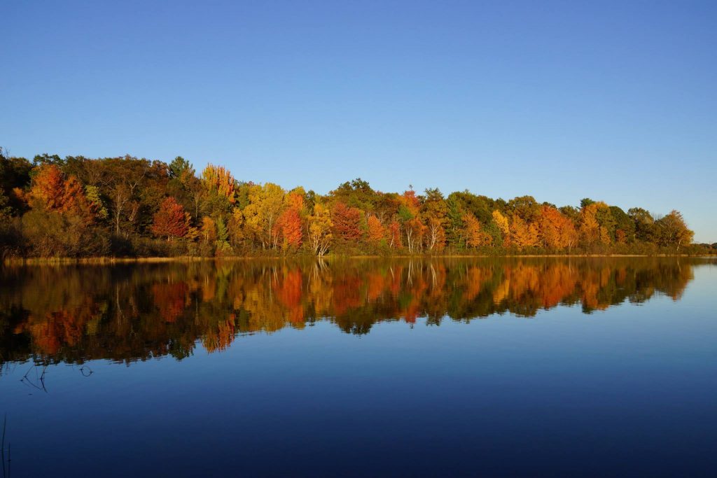 view Duck Lake State Park