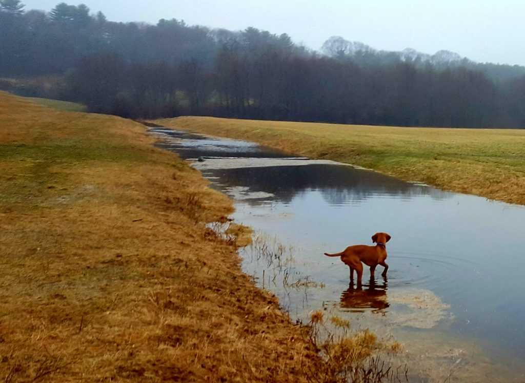 water side Callahan State Park