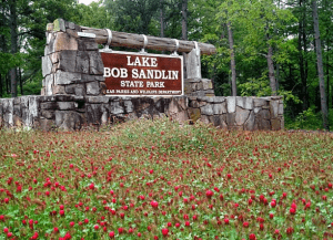 Board view Flowers Lake Bob Sandlin State Park