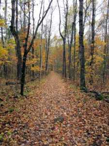 Moose Lake State Park - Parks Guidance