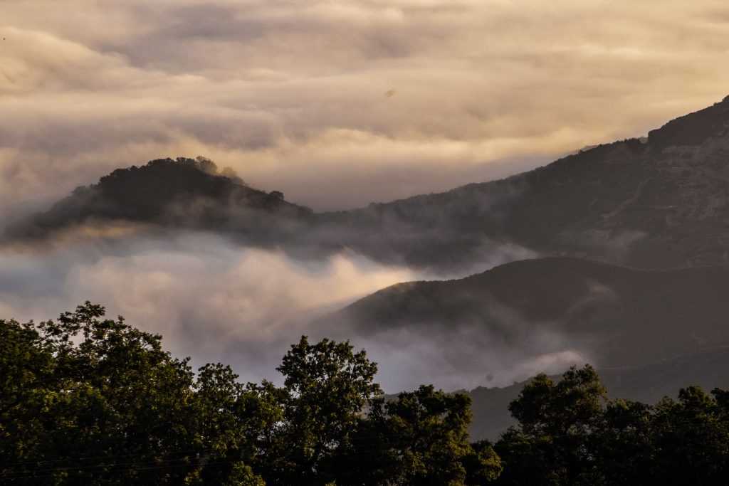 Foggy Morning view Fremont Peak State Park