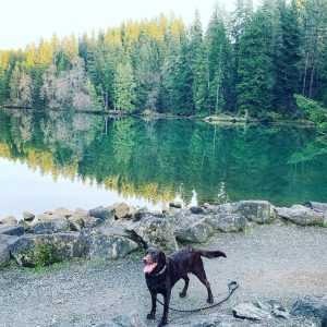 Moose Lake State Park - Parks Guidance