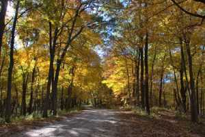 Great River Bluffs State Park - Parks Guidance