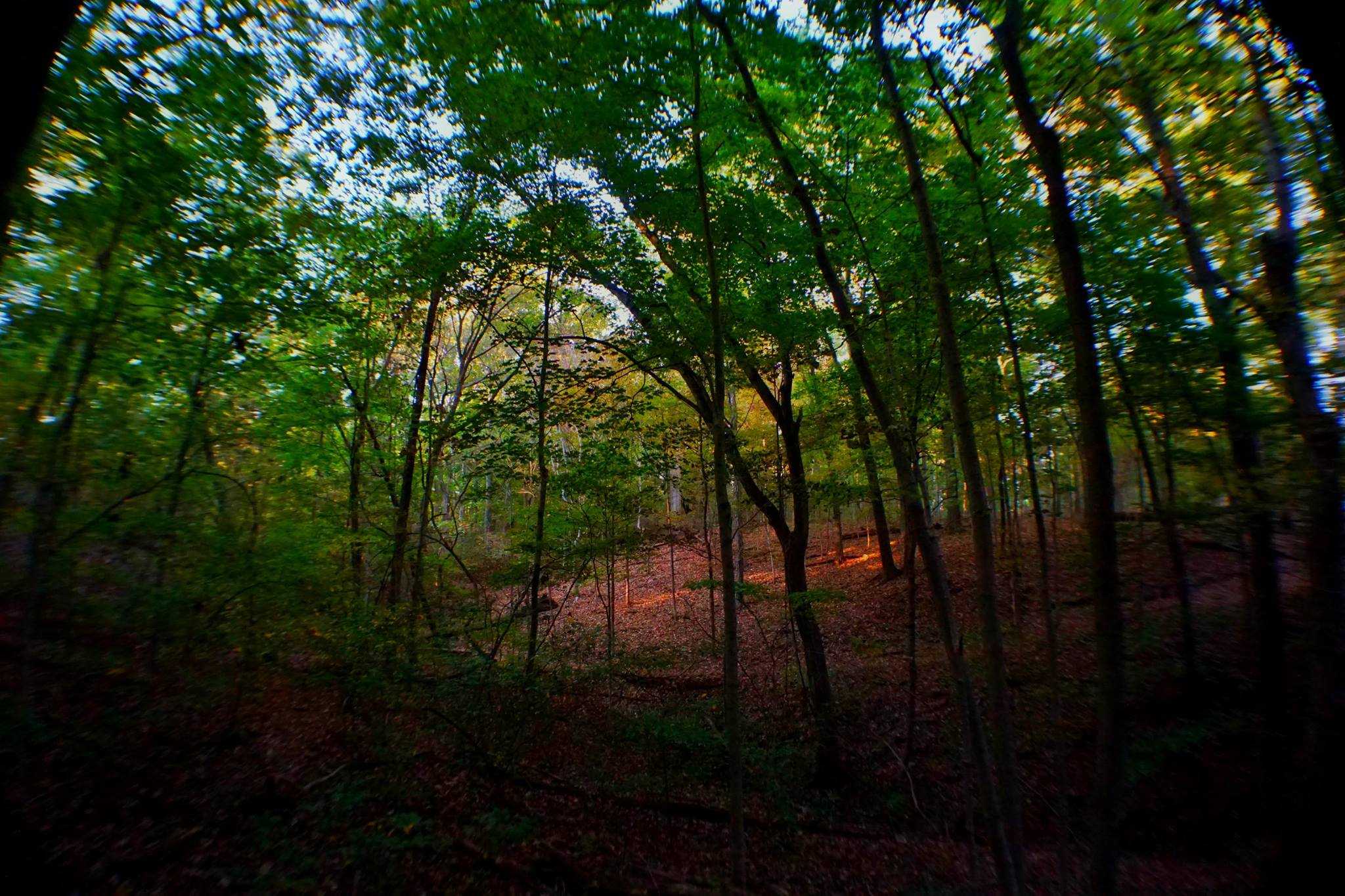 Evansburg State Park Parks Guidance