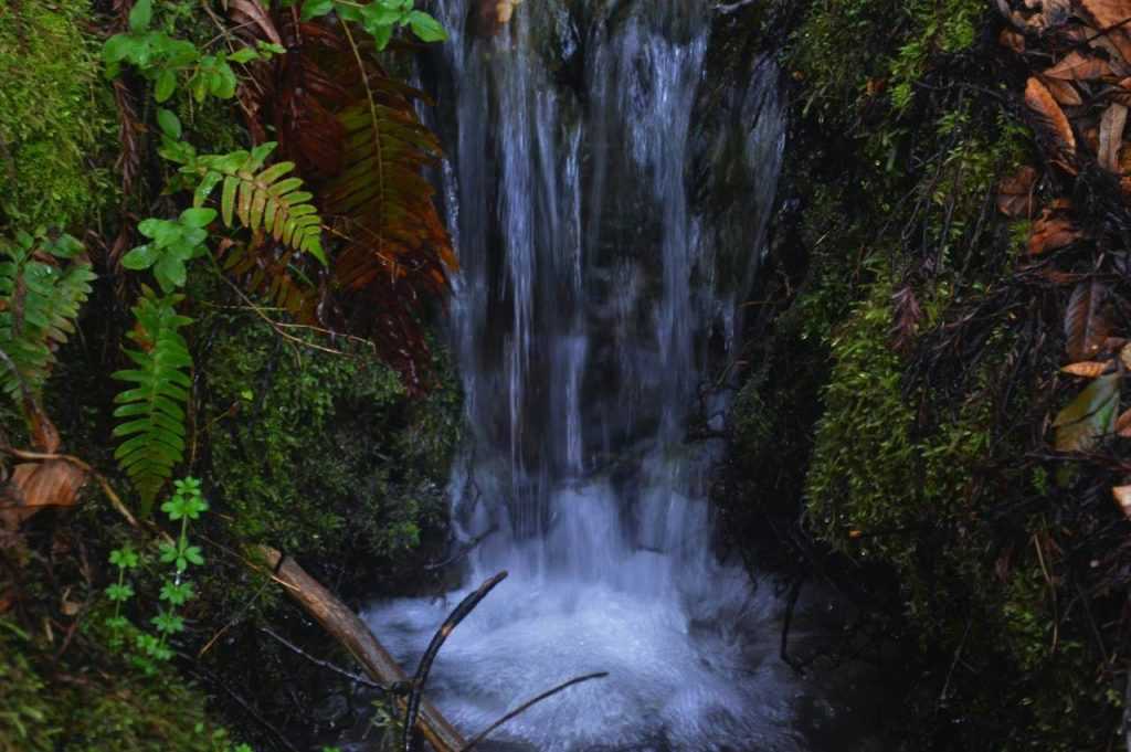 WaterFalling Navarro River Redwoods State Park