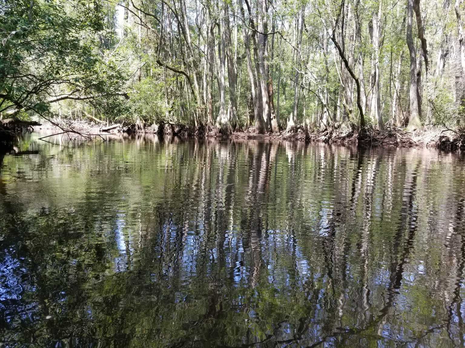 Aiken State Park - Parks Guidance