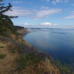 view from Fort Ebey State Park