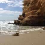 Seasonal Wonders: Crystal Cove State Park Throughout the Year