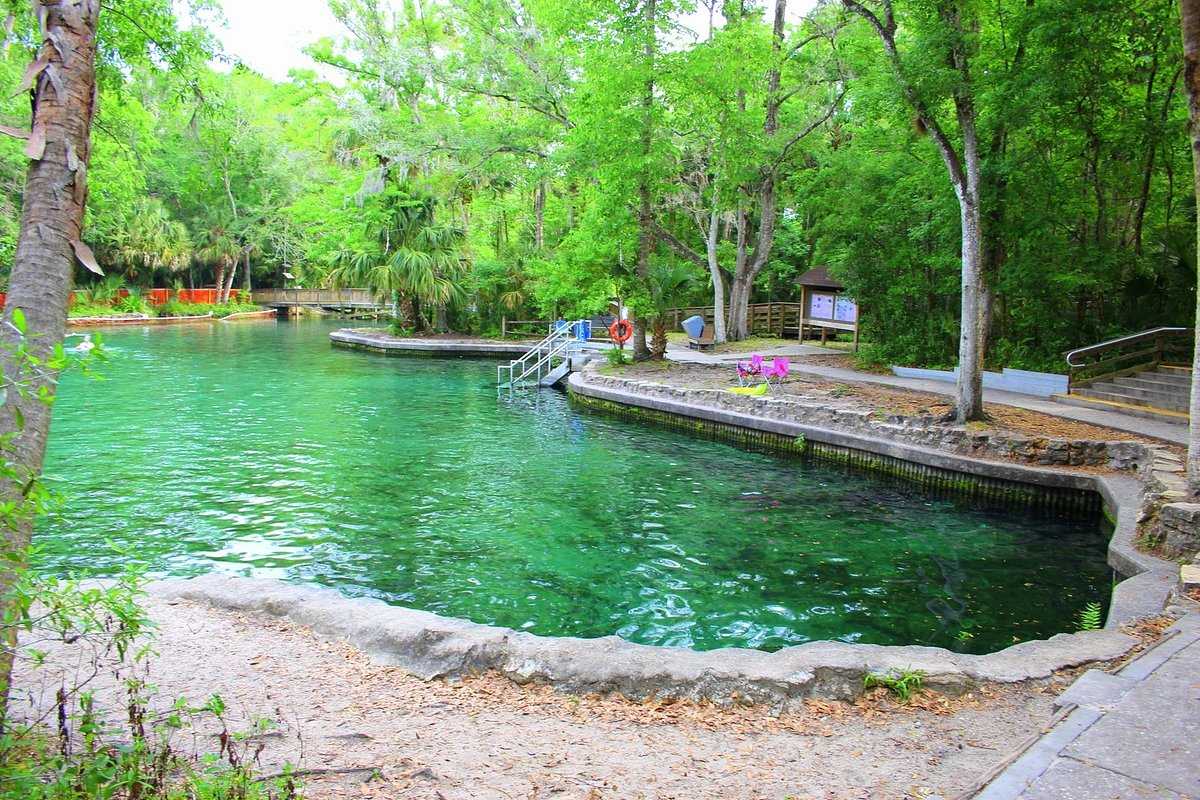 Exploring the Natural Wonders of Wekiwa Springs State Park A Haven for