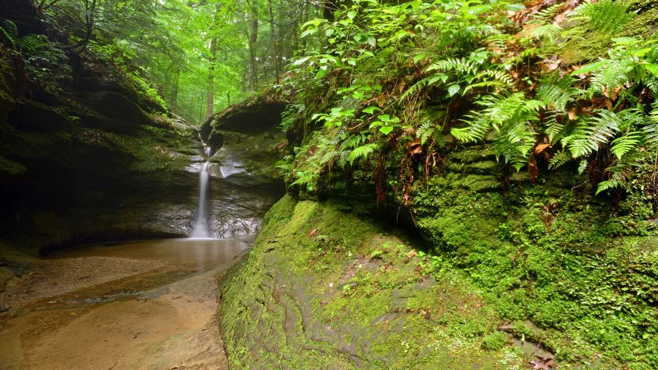 Historical Significance of Turkey Run Tracing the Park's Heritage