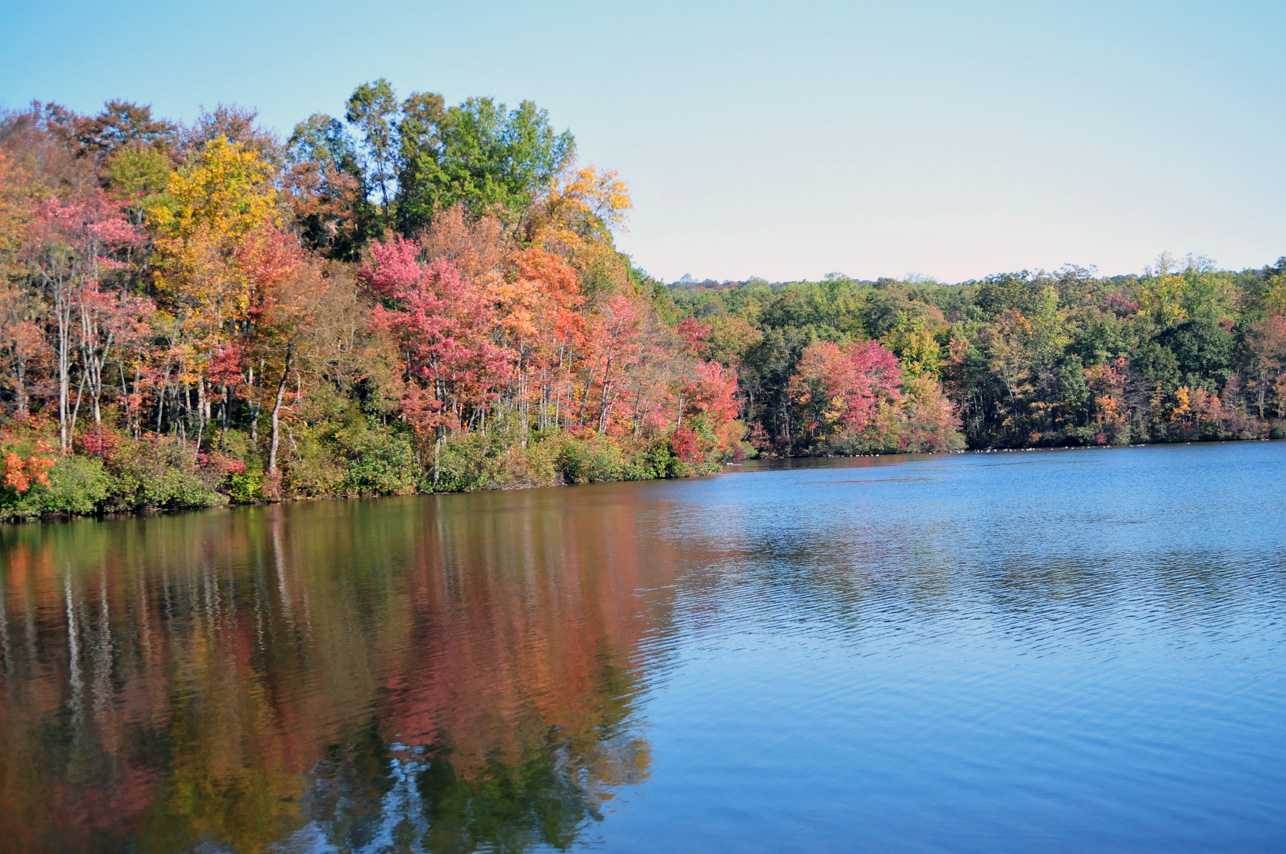 Outdoor Adventures at French Creek State Park A Comprehensive Guide Parks Guidance