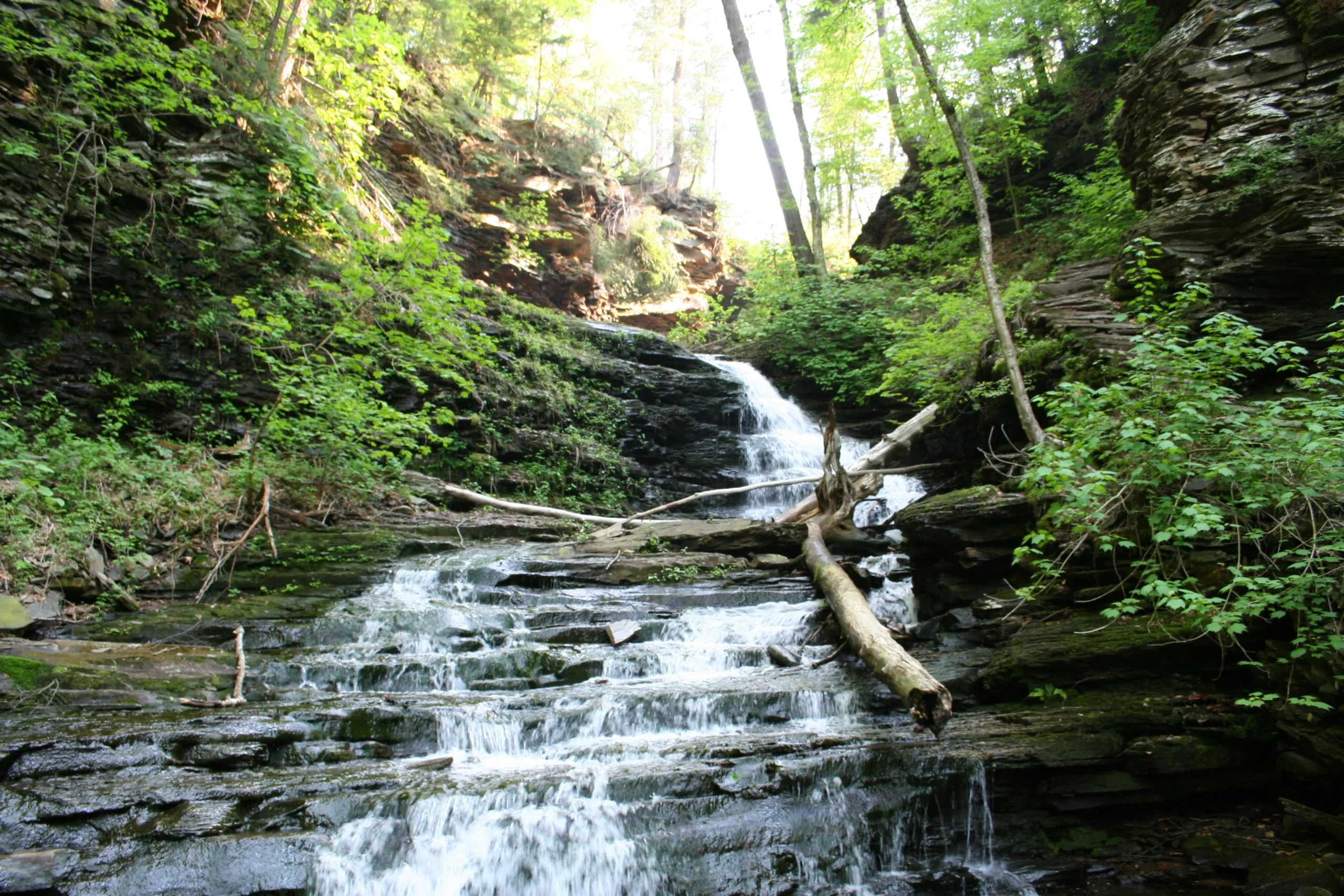 Eco-Friendly Escapes: Sustainable Practices at Ricketts Glen State Park ...