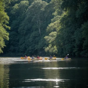 Kayakers on the Tickfaw River, surrounded by vibrant forest views - Parksguidance Official