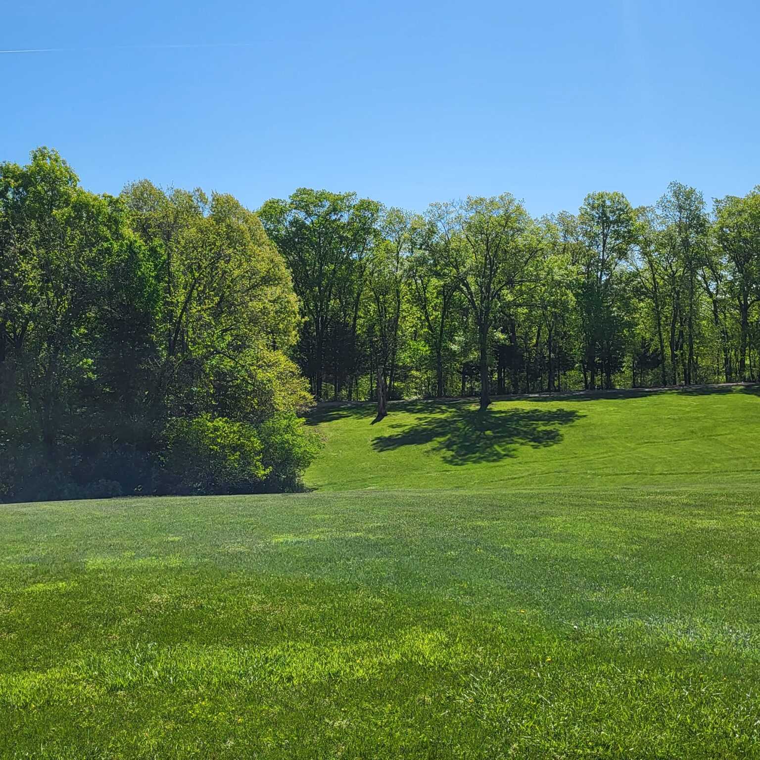 Explore Babler State Park: A Gateway to Outdoor Adventures and Serenity ...