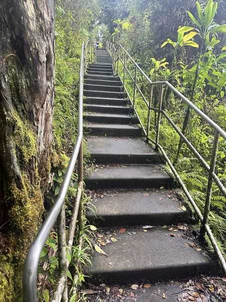 Akaka Falls State Park