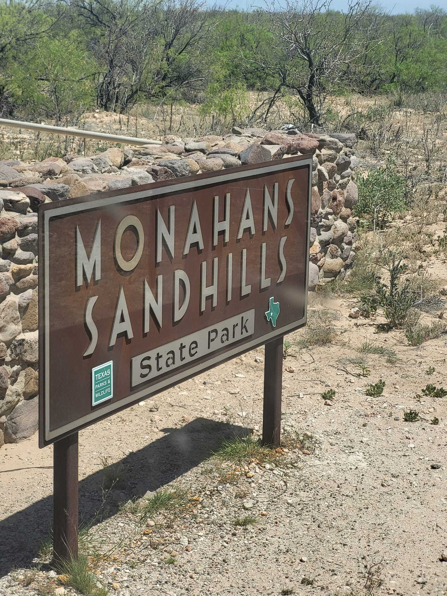 Capturing the Beauty of Monahans Sandhills State Park: A Photographer's ...