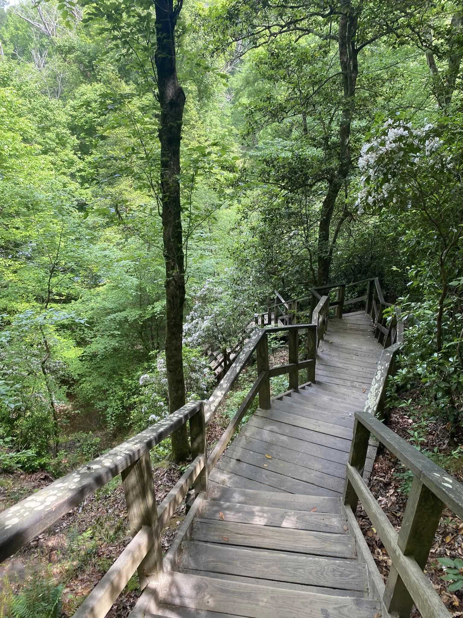 Discover Raven Rock State Park Through Stunning Photos | A Visual ...