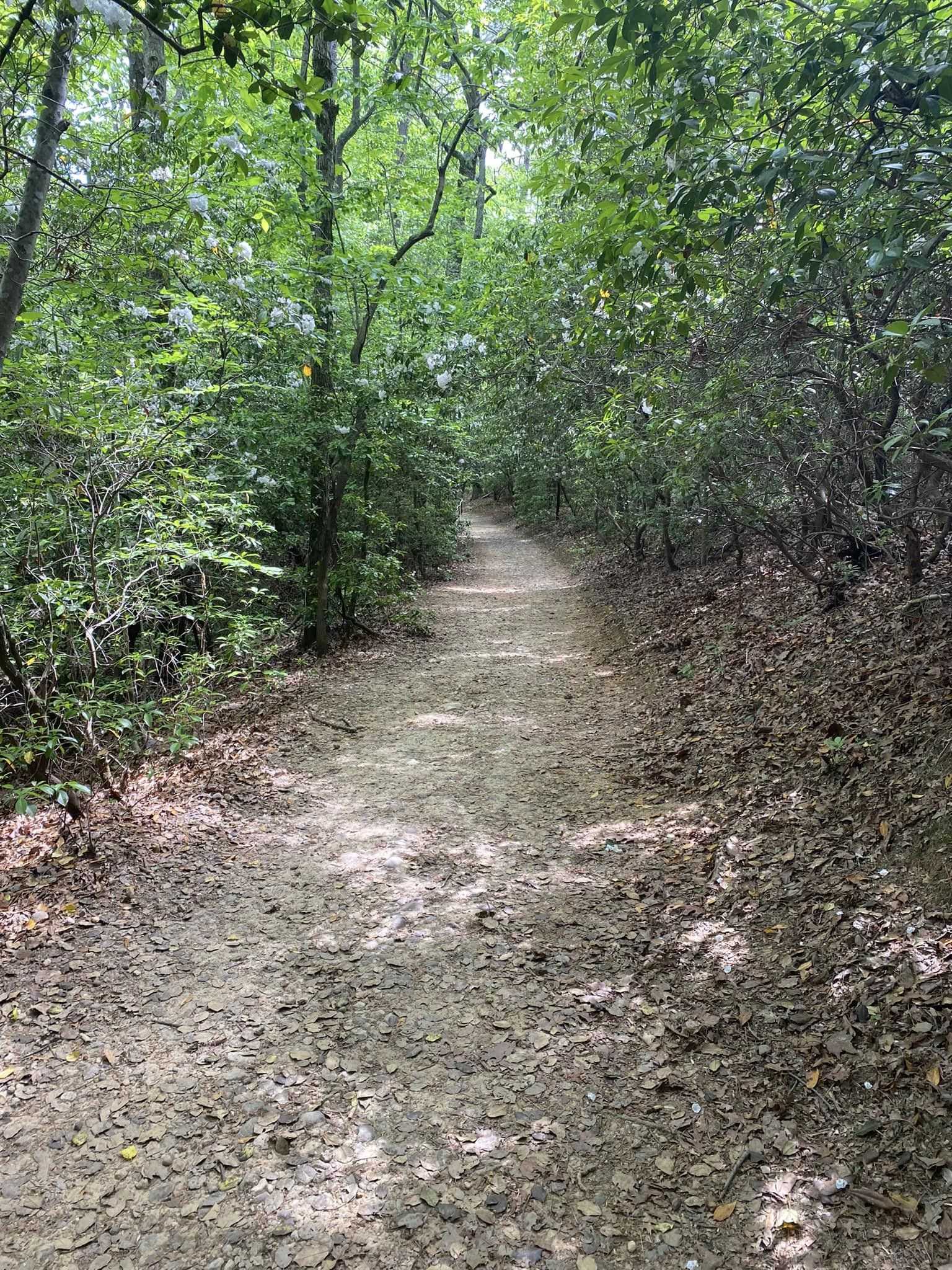 Discover Raven Rock State Park Through Stunning Photos | A Visual ...