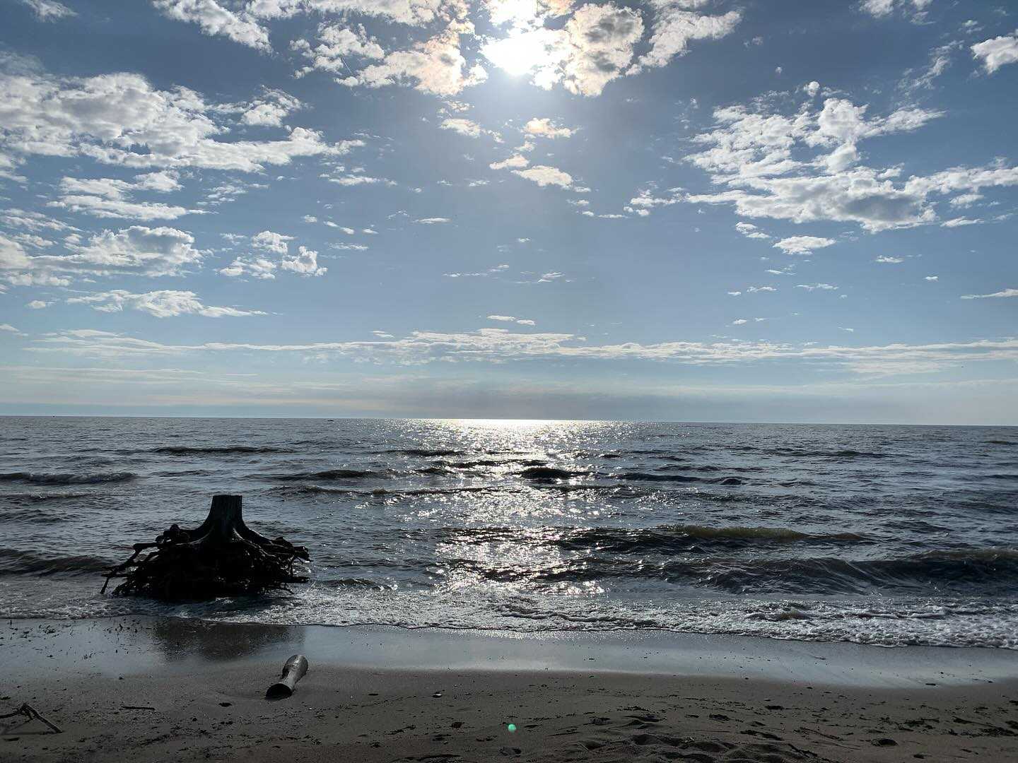 Sterling State Park Photos: Capturing The Essence Of Michigan's 