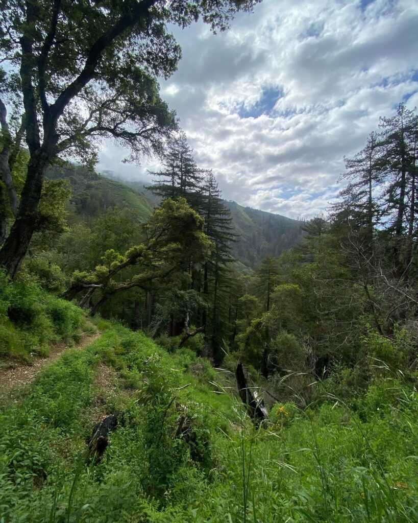 pfeiffer big sur state park