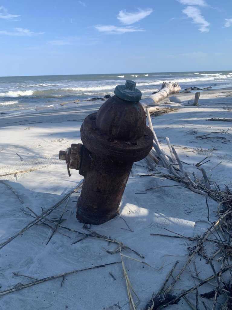 hunting island state park